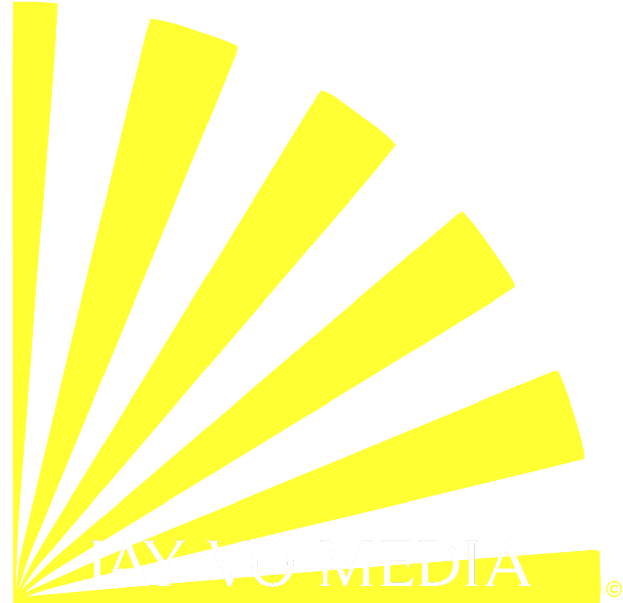 JAY VO MEDIA, LLC